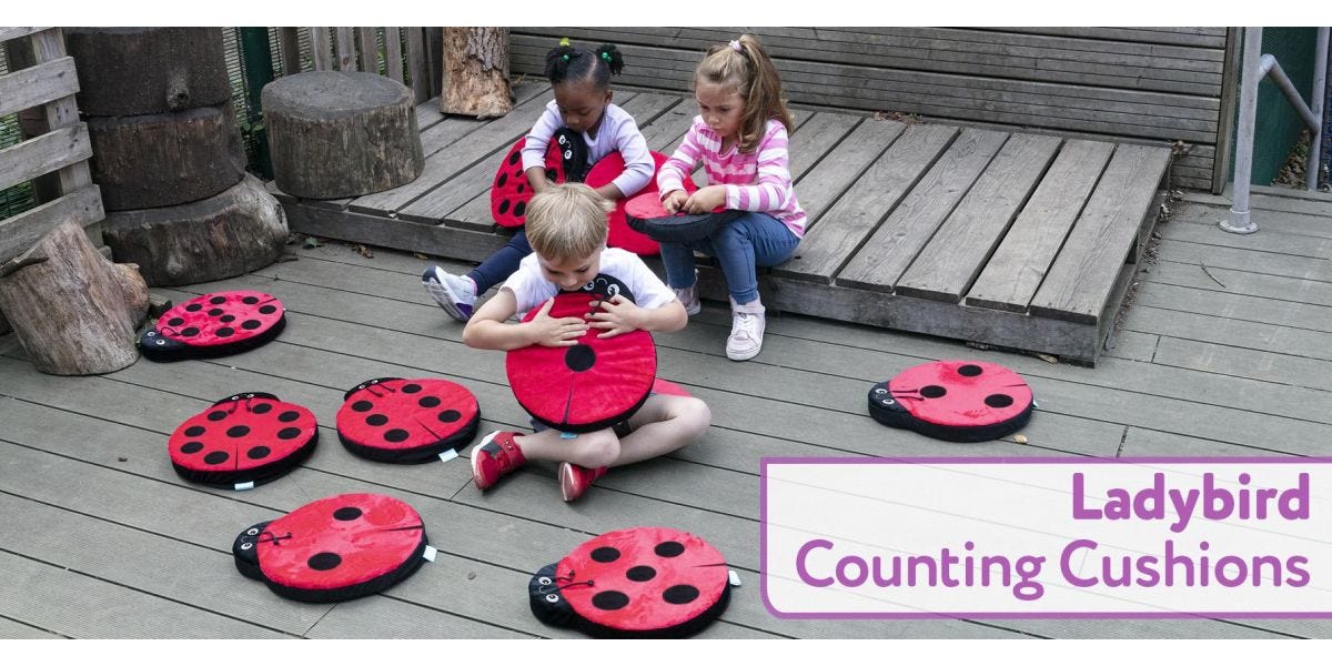 Ladybird Counting Cushions