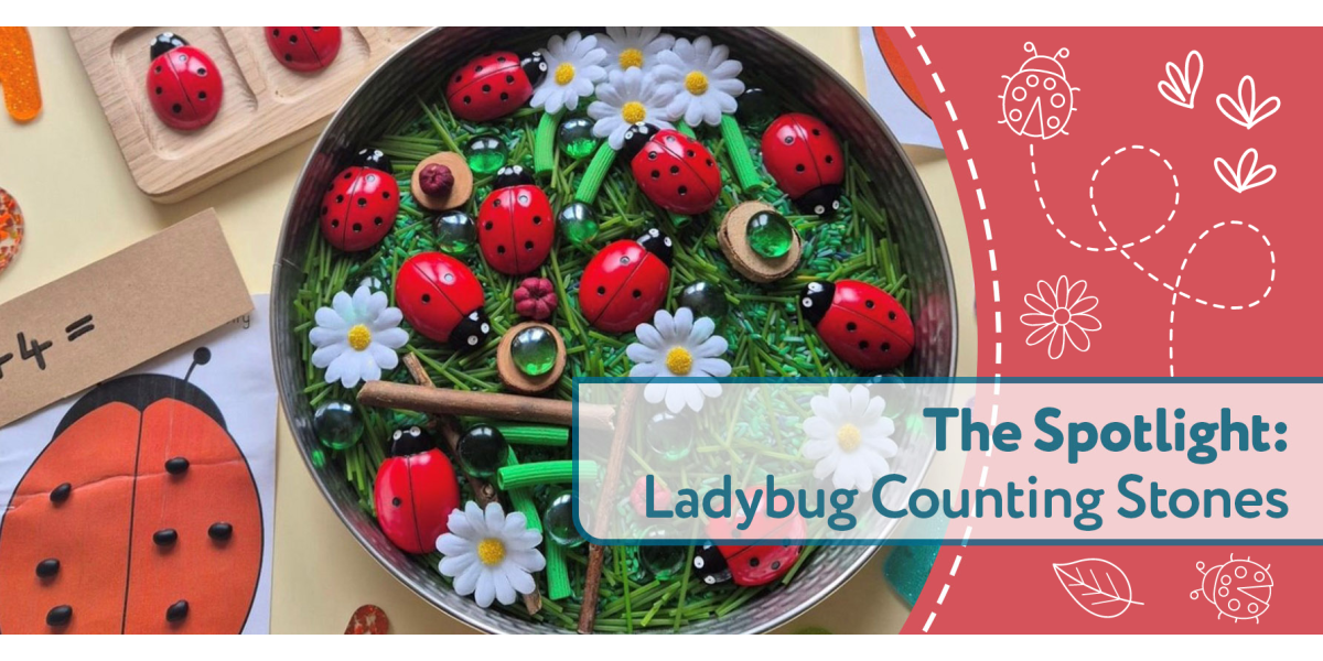 The Spotlight: Ladybug Counting Stones