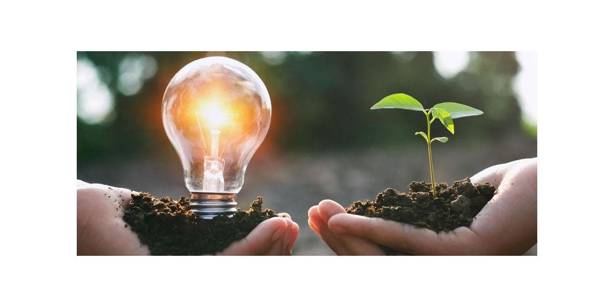 How We do Our Bit For the Planet