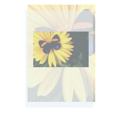 A4 Eco-Friendly Clear Cut Flush Folders Pack of 25