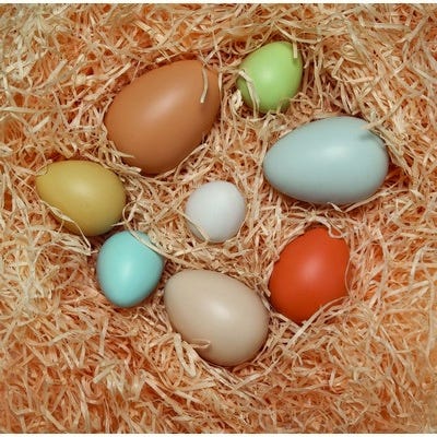 Size Sorting Eggs
