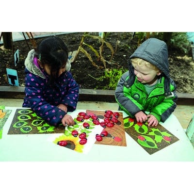 Ladybug Early Number Cards