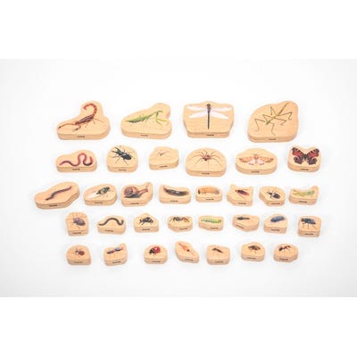 Wooden Minibeast Blocks