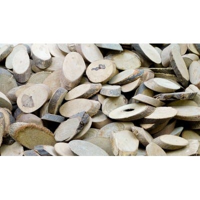 Branch Offcuts - Oval