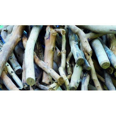 Natural Tea Tree Branches 500g