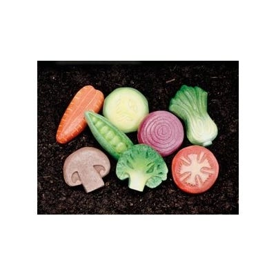 Vegetable Sensory Play Stones