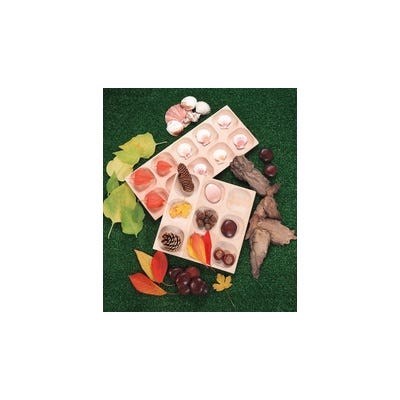 10 Frame Tray