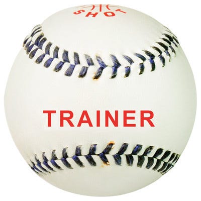 Rounders Training Ball, Each