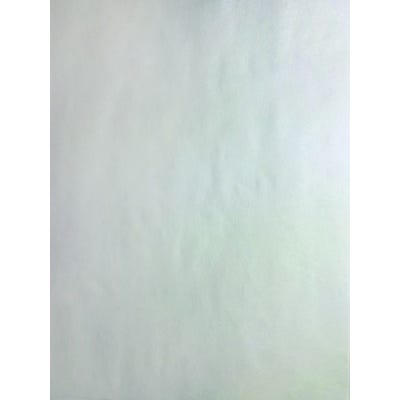 Colour Diffusing Paper 9 x 12