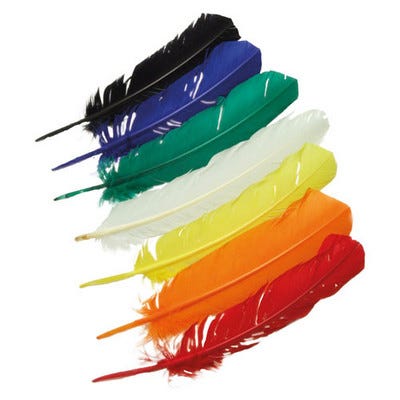 Indian Feathers Assorted Pack 25