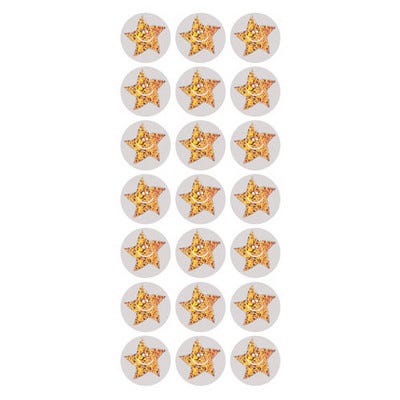 Sparkly Stars Gold/Silver Pack 720