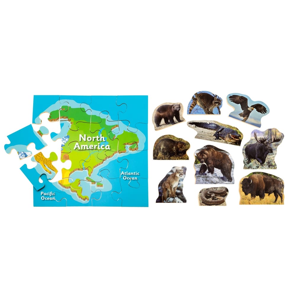 North America Jigsaw Puzzle