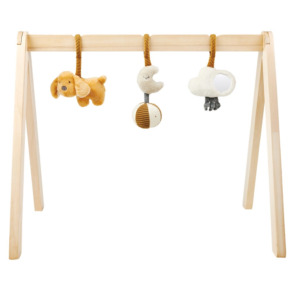 Charlie Wooden Arches with Hanging Toys