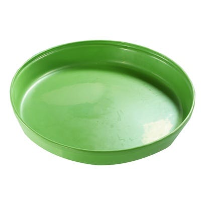 Deep Spot Green