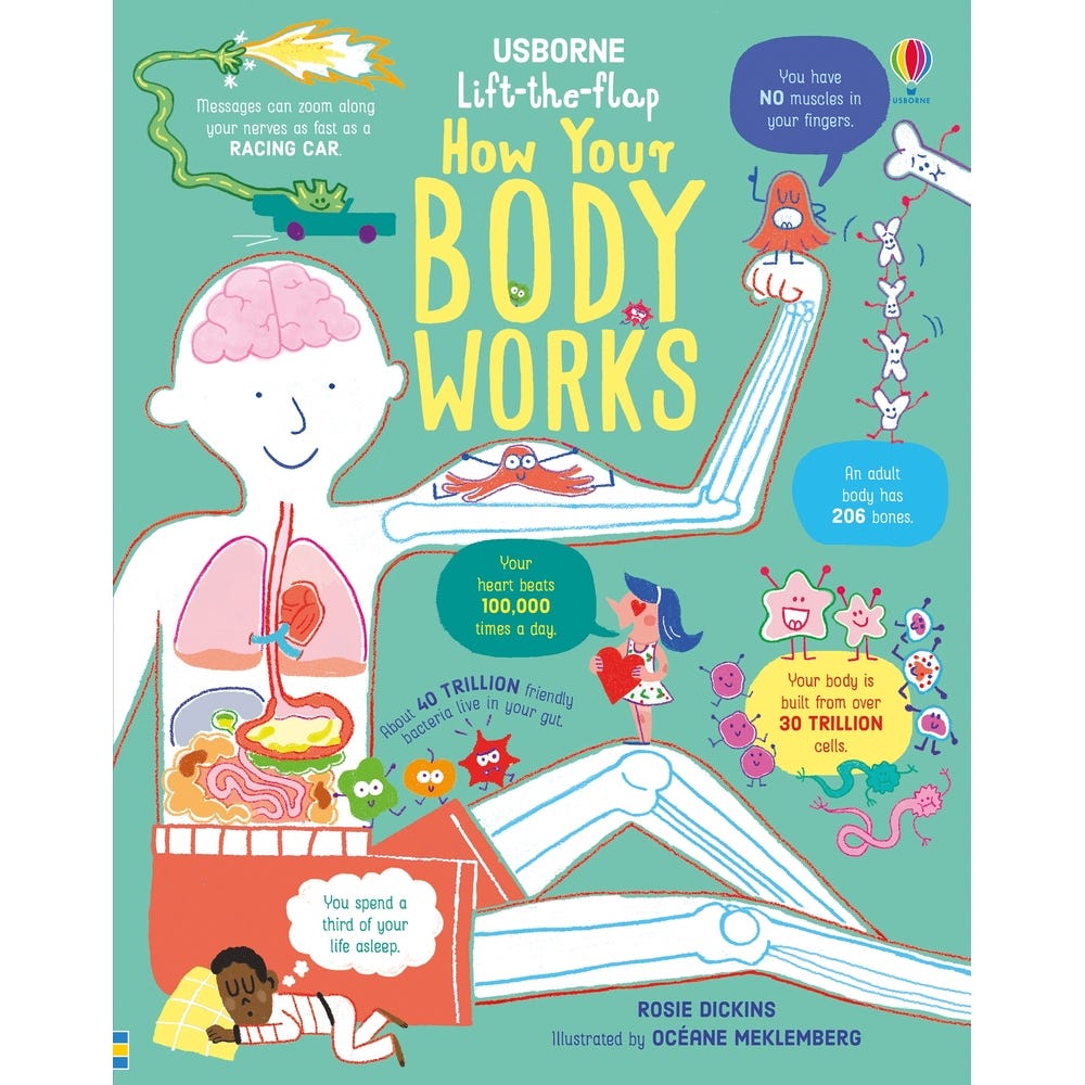 Human Body Book Pack Option 2 Key Stage 2