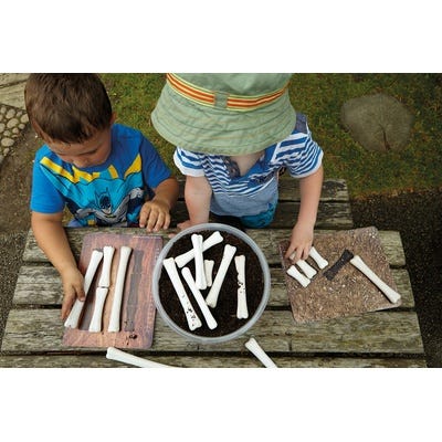 Match And Measure Bones Set 16