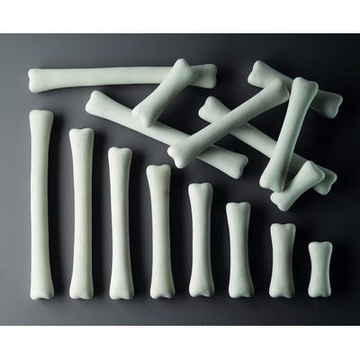 Activity Cards  Match And Measure Bones Set 16