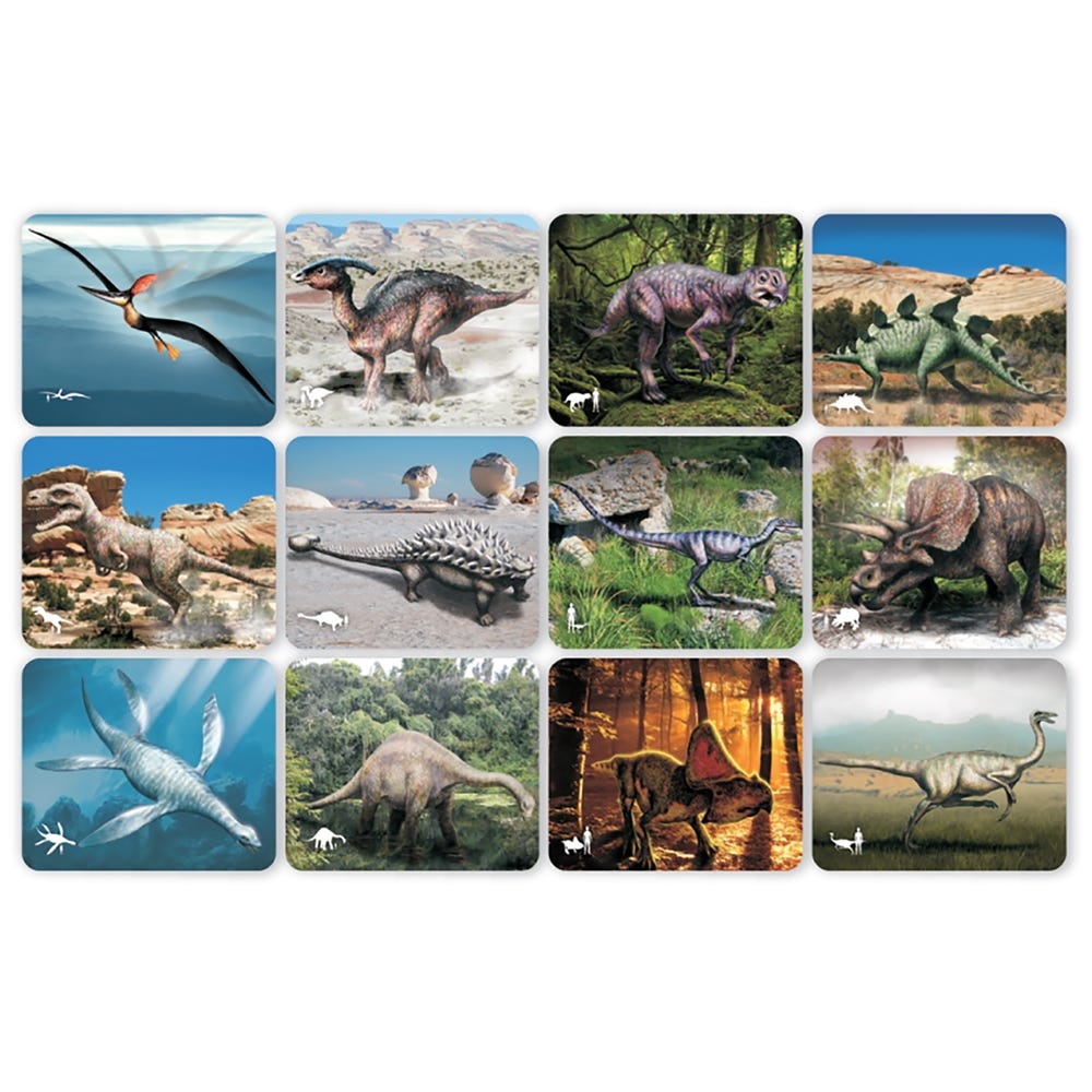 Dinosaur Picture Cards and X-Rays
