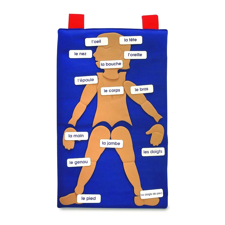 French My Body KS1