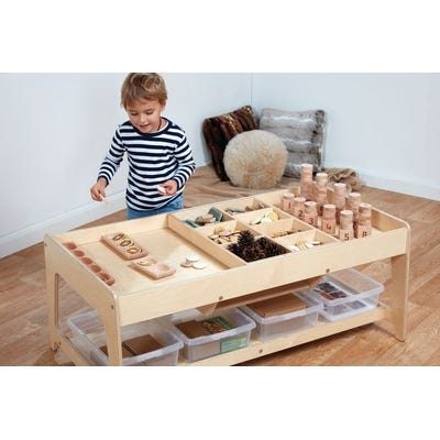 Investigative Play Table