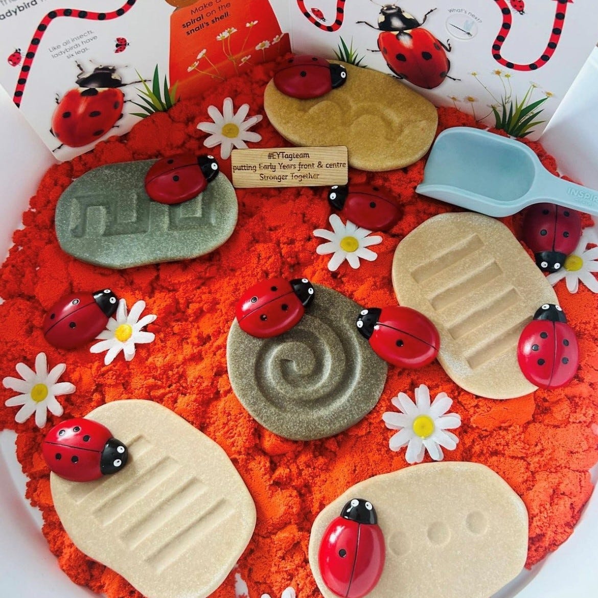 KCS Ladybug Counting Stones Spotlight