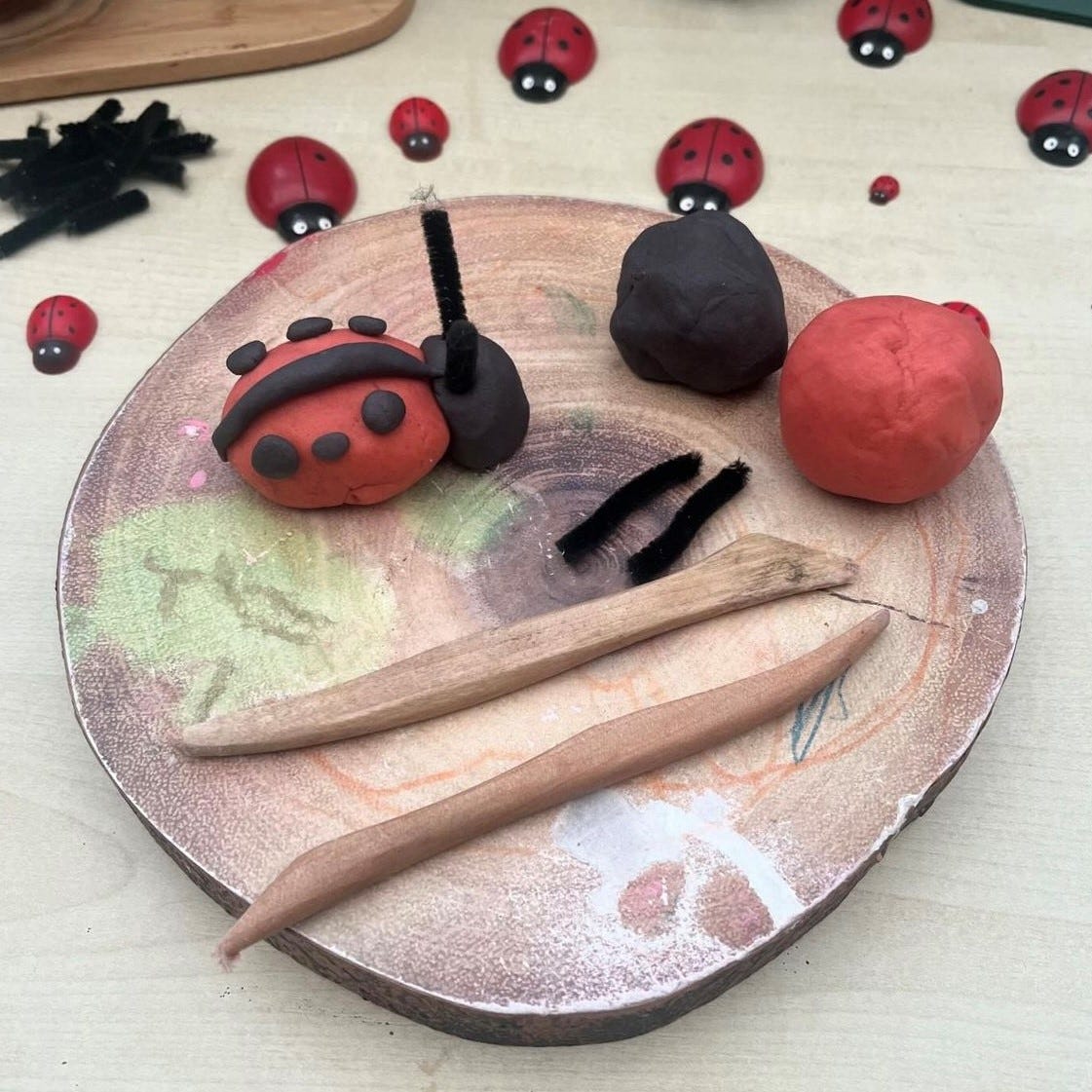 KCS Ladybug Counting Stones
